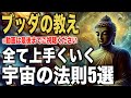 何をやってもうまくいく宇宙の法則5選|ブッダの教え