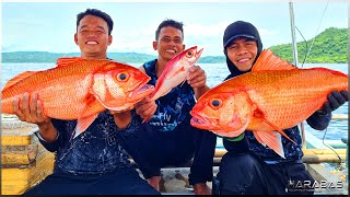 EP420-Part2 - Biggest Dulawan We Ever Caught | Longline Fishing | Occ. Mindoro