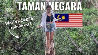 45 meters above the WORLD'S OLDEST RAINFOREST 🇲🇾 Exploring Taman Negara, Malaysia