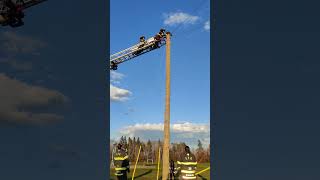 Cat Rescued by Firefighters After It Climbed up a Pole