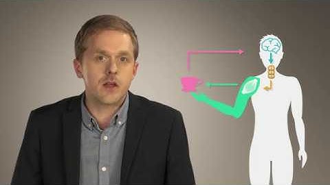 Neural bases of sensorimotor control