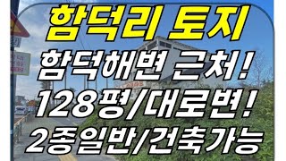 조천읍 함덕리 함덕초/함덕해변 인근 대로변 토지 급매(128평/임야/2종일반주거/건축가능) ]#조천토지 #조천읍토지 #함덕토지 #함덕리토지 #제주토지 #제주시토지 #제주도토지