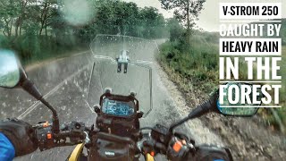 Suzuki V-Strom 250 Caught by heavy rain in the forest