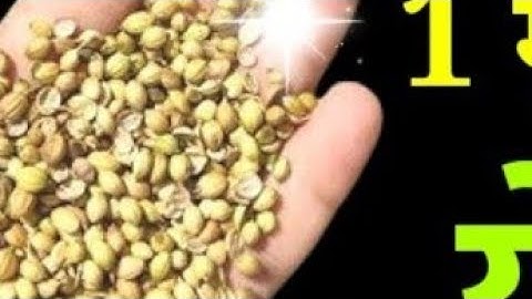 12 अप्रैल चैत्र पूर्णिमा के दिन 1 मुट्ठी धनिया से कर लेना ये 1 उपाय बनोगे करोड़पति||Pradeep Ji Mishra