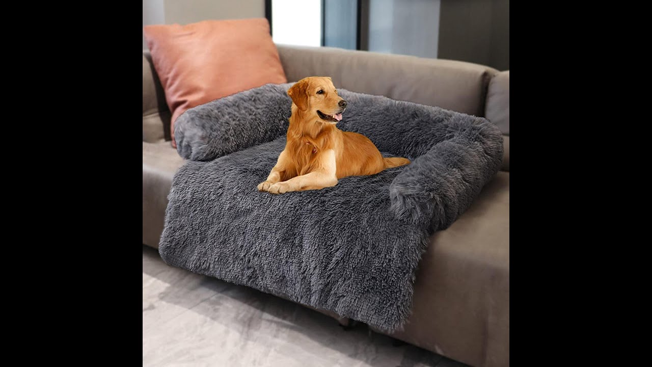 Calming Furniture Protector Pet Bed Shorts YouTube