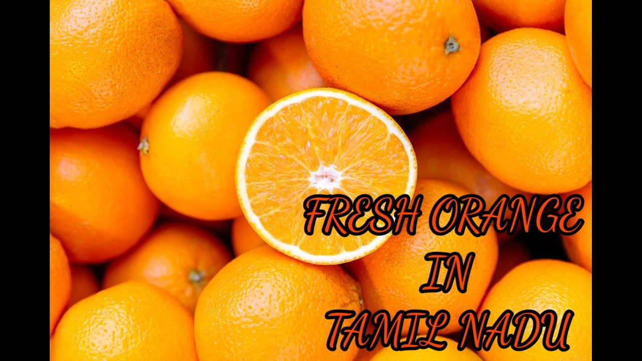 fresh orange in tamil nadu YouTube