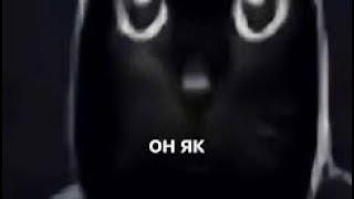 aWAReness. Trash Videoessay, mockumentary