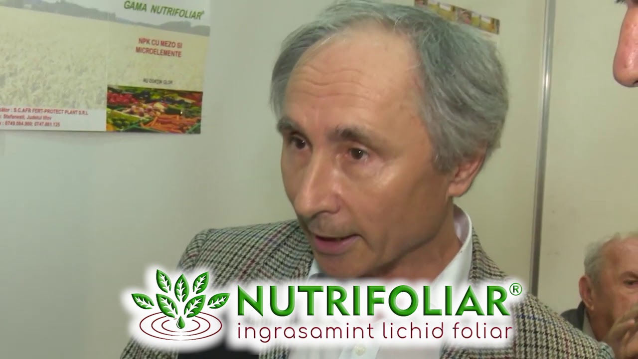 Ingrasamant foliar-ingrasaminte foliare porumb 2021