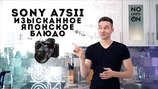 Sony A7S II Вкусный обзор и настройки камеры