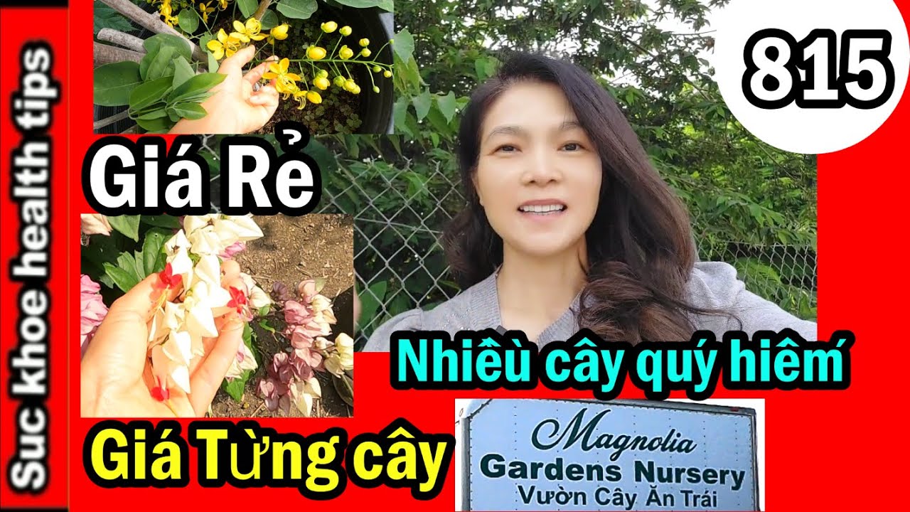 Vườn cây Magnolia + Giá bán từng cây Ăn trái Rau Hoa... - youtube