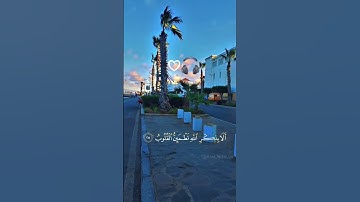 سورة الرعد (28-29) ♡