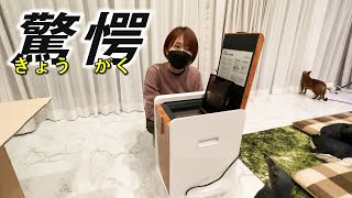 と、と、とんでもないものがあにまるず家にやってきた！！