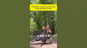 Shaolin Mantis #kungfu #wushufight #martialarts