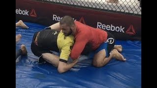 BJJ Technique - Head Control Concepts and Chokes - Coach Zahabi