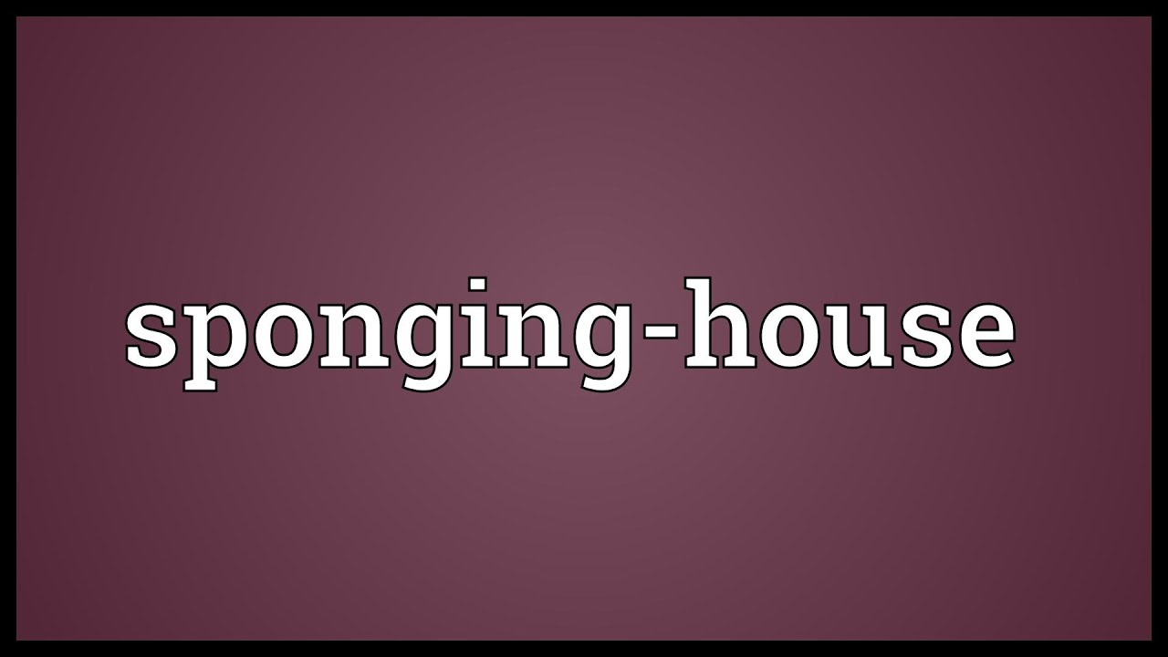 sponging-house-meaning-youtube