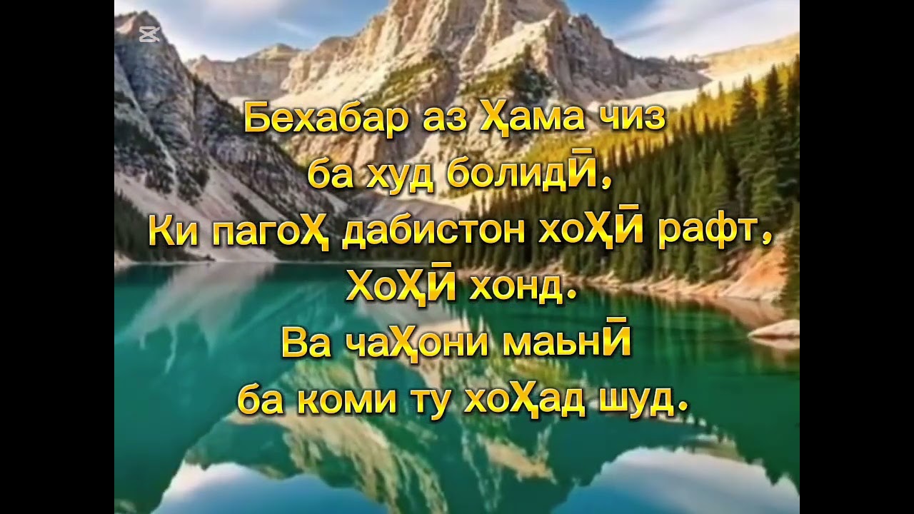 ,, Чашмаи ташна”.  ,,ШУКРОНА” ( ба амакам Тиллохони Зардодхон ) аз шеърҳои Мавҷигули Зардодхон 