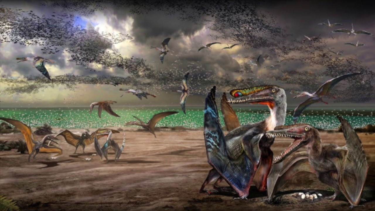 Paleo News: 215 Hamipterus eggs