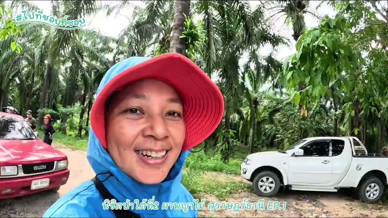 ผาพญาไม้