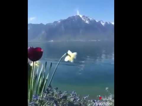 النفسية بحاجة لصباح مثل هيك