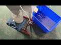 AI Plastic Color Sorting | Before & After Comparison