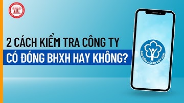 2 Cách Kiểm Tra Công Ty Có Đóng BHXH Hay Không? | THƯ VIỆN PHÁP LUẬT