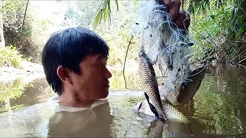 Thử Thách Sinh Tồn Bủn Rủn Chân Tay Khi Một Mình Bắt Cá Bên Suối Nước Sâu