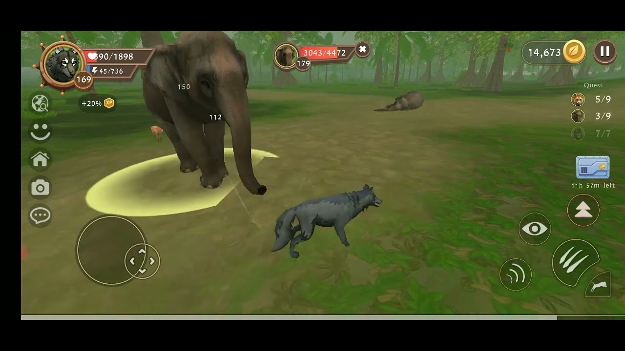 Wildcraft video complete quest in wild jungle also complete 1 more task