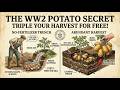 Why I NEVER Buy Fertilizers: The WW2 Method to Triple Potato Harvests for Free
