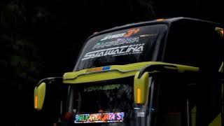 Story'wa Bus Pariwisata BHINEKA KARYA JAYA