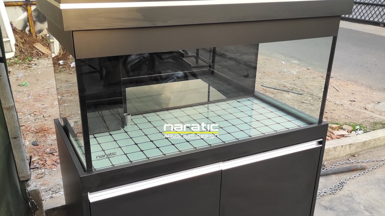 Aquarium background hitam untuk ikan arwana ? emang cocok