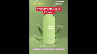 aloe vera kreuzallergie Echte Aloe main image 1