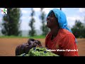 Imbere munzu film episode1 irebere ibibera munzu tubamo  kora subscribe like ujye uyibona buri munsi