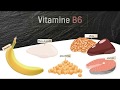 Vitamine b6 ou pyridoxine  quels sont les aliments riches en vitamine b6