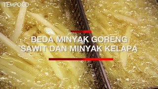 Sejumlah Perbedaan Minyak Goreng Sawit dan Minyak Kelapa