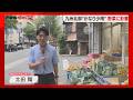 【少雨】葉物野菜の価格が上昇 農家「適度に降ってほしい」福岡