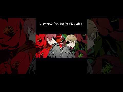 アナタサエ shorts ver.／うらたぬき＆となりの坂田。