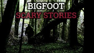 6 Scary Bigfoot Horror Stories