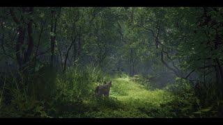 Flow - developing a shot