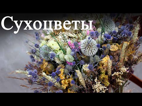 Видео: Композиции из сухих цветов - Выращивание растений и цветов для сушки