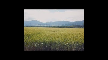 The Beauty of Being an Indie Game Dev #viral #viralvideo #indiegame #indiegamedev #gamedev #gaming