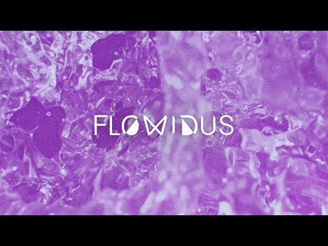 Flowidus & Lauren L'aimant - Save Us