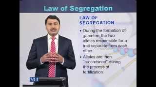 BIO301_Topic006