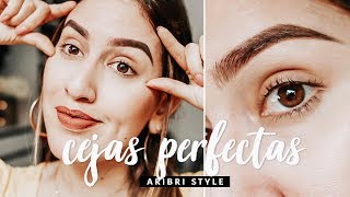 Cejas perfectas paso a paso | Aribri Style