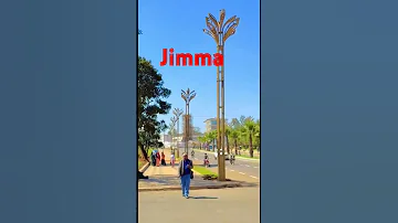 Jimma Abba Jiffar Foryou Jimma Viralshort Jimmasterstv Ethiopianmusic Vews 