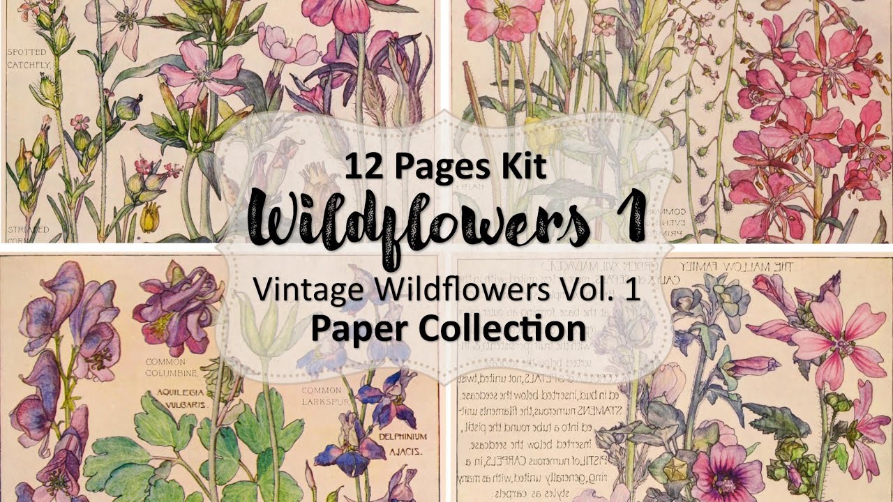 Digital Kit Share | Wildflowers Paper Collection Vol. 1
