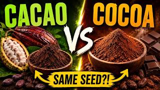 Cacao vs. Cocoa: Are You Buying the Wrong One?