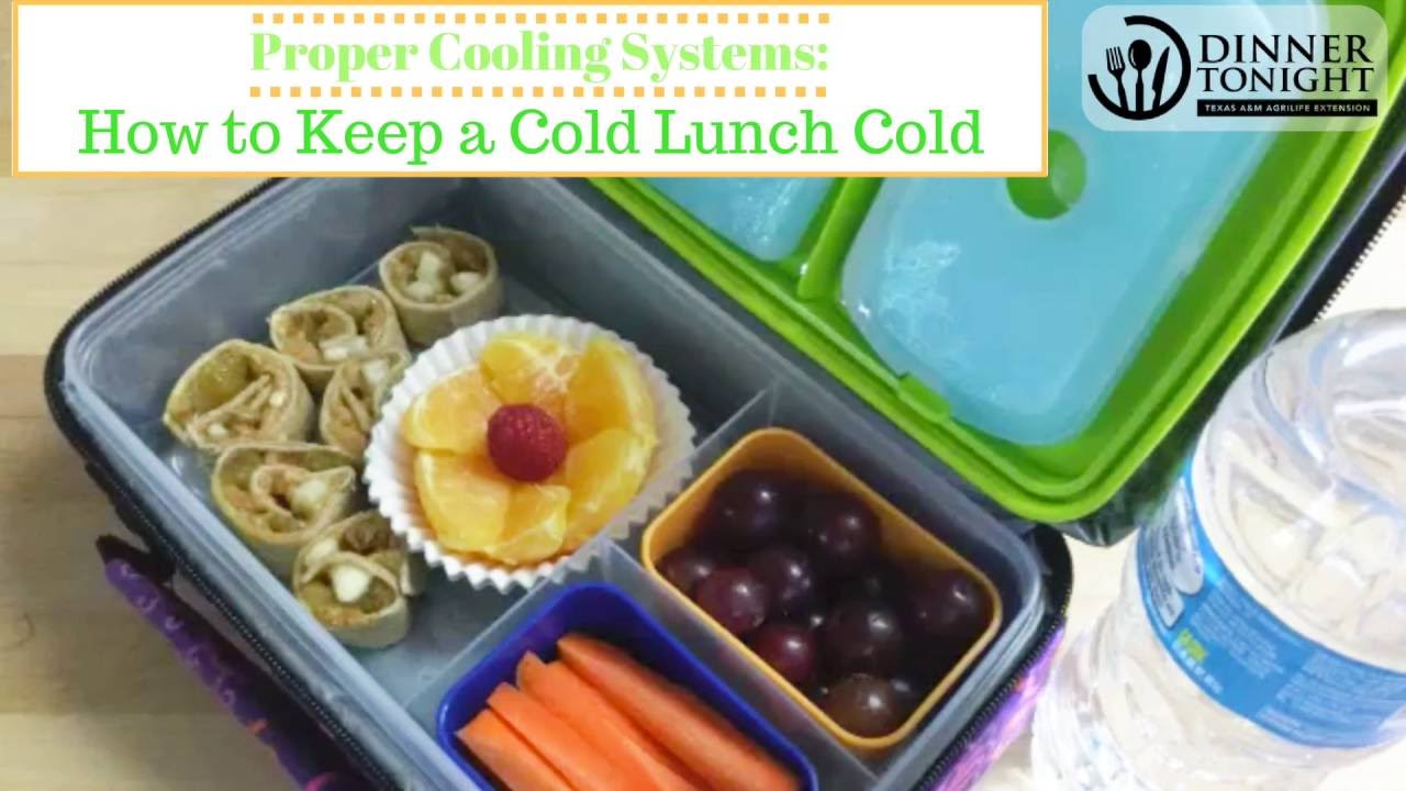 Here's How to Keep School Lunches Lunches Hot or Cold - Hip2Save