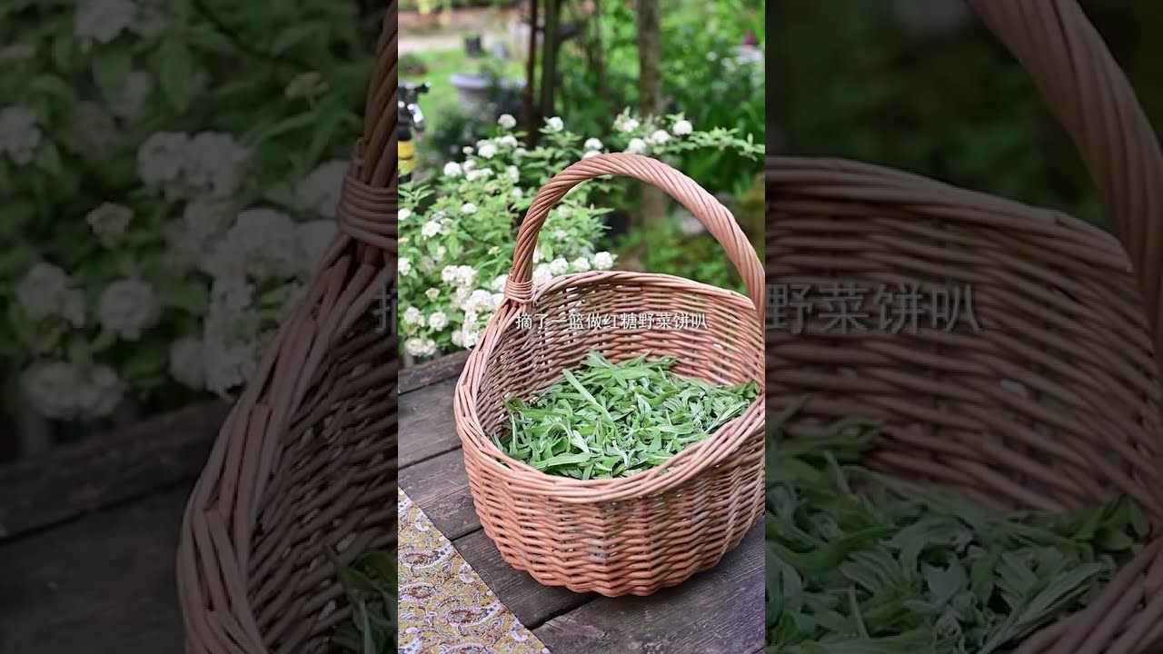 Courtyard Dreams Aesthetic Life Haven! 🌿✨