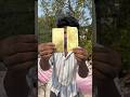Super glue vs Tsat|| #shorts #pralayexperiment #shortvideo #experiment