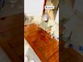 high gloss wood door compound apply